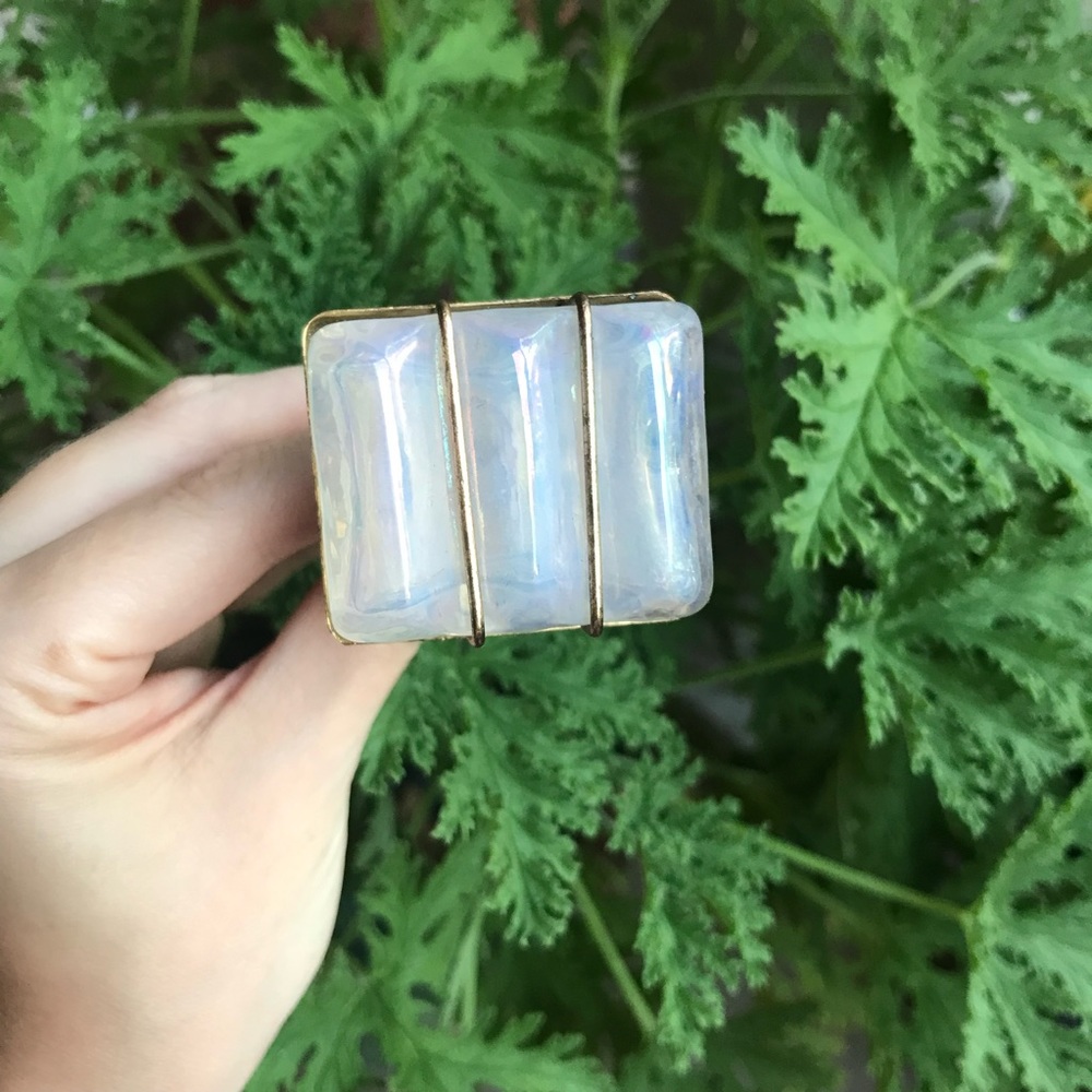 Anthropologie knob